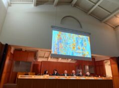 Antiche Acquasantiere Domestiche e Devozionali in maiolica della collezione del Dott. Piccinini Ivano